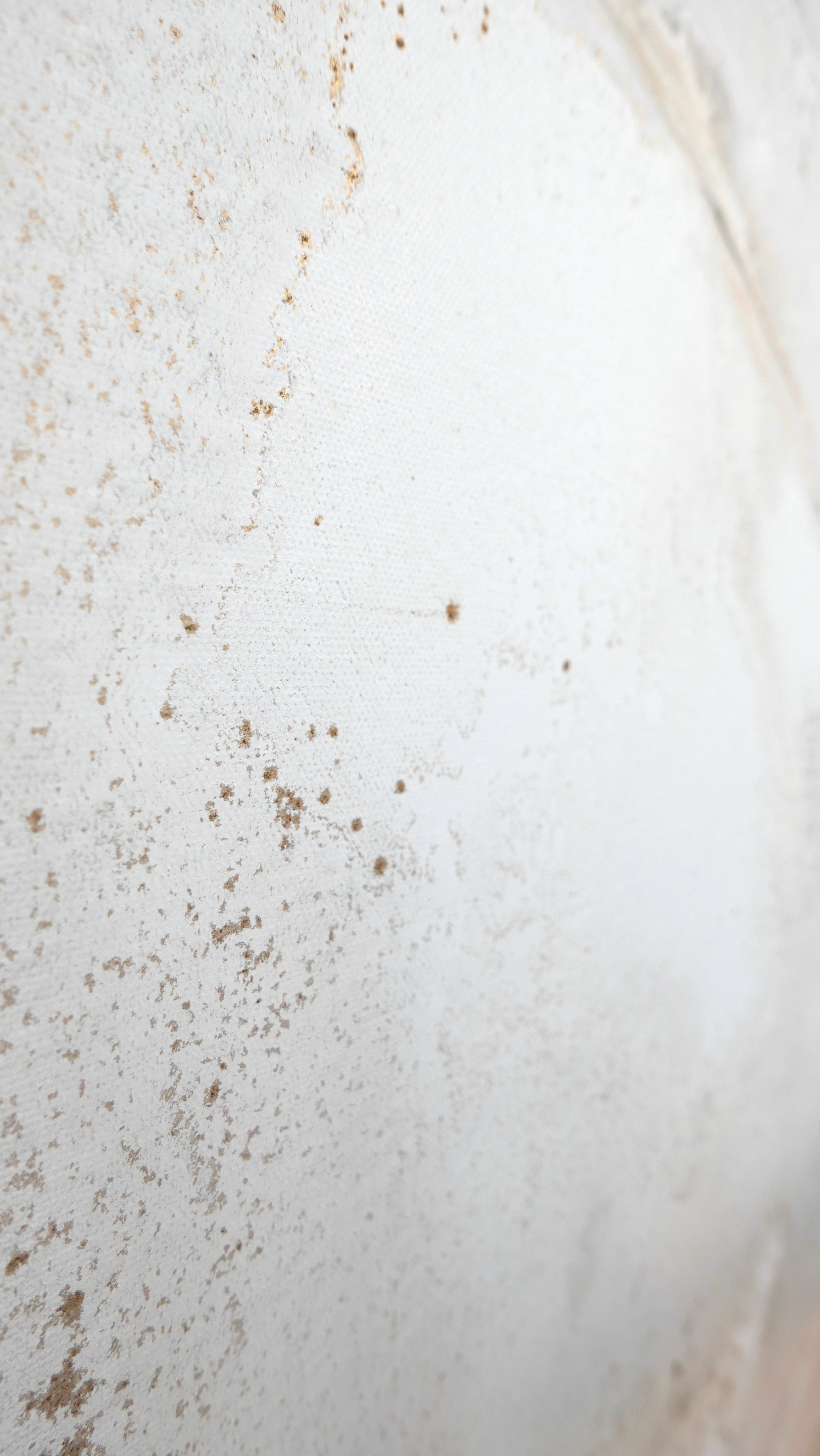 Detail of the soft circular movement in the surface of Peace