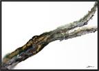 Rooted 2, a textured abstract painting with a diagonal seam of green, gold and black across an open white field, by Stefanie Carola