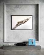 Bedrock framed on a concrete grey wall above a low console in a minimal interior.