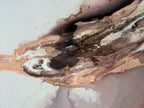 Detail of peach and brown brushwork with pooled gold in Wildflower