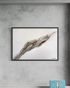 Bedrock